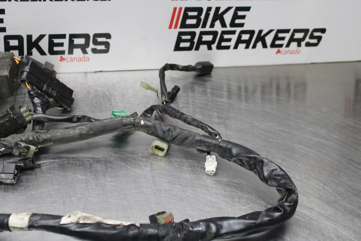 03 SUZUKI SV650 MAIN ENGINE WIRING HARNESS MOTOR WIRE LOOM BB846