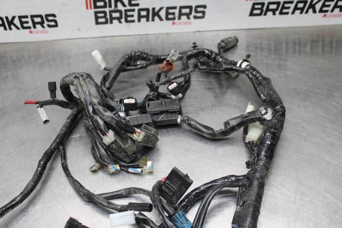 17-18 YAMAHA YZF R3 MAIN ENGINE WIRING HARNESS MOTOR WIRE LOOM BB813