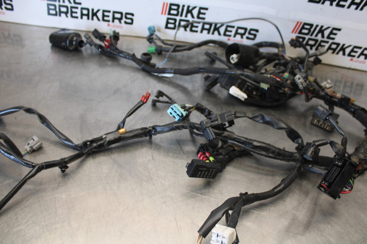 24-25 KAWASAKI NINJA 500 ABS MAIN ENGINE WIRING HARNESS WIRE LOOM BB899