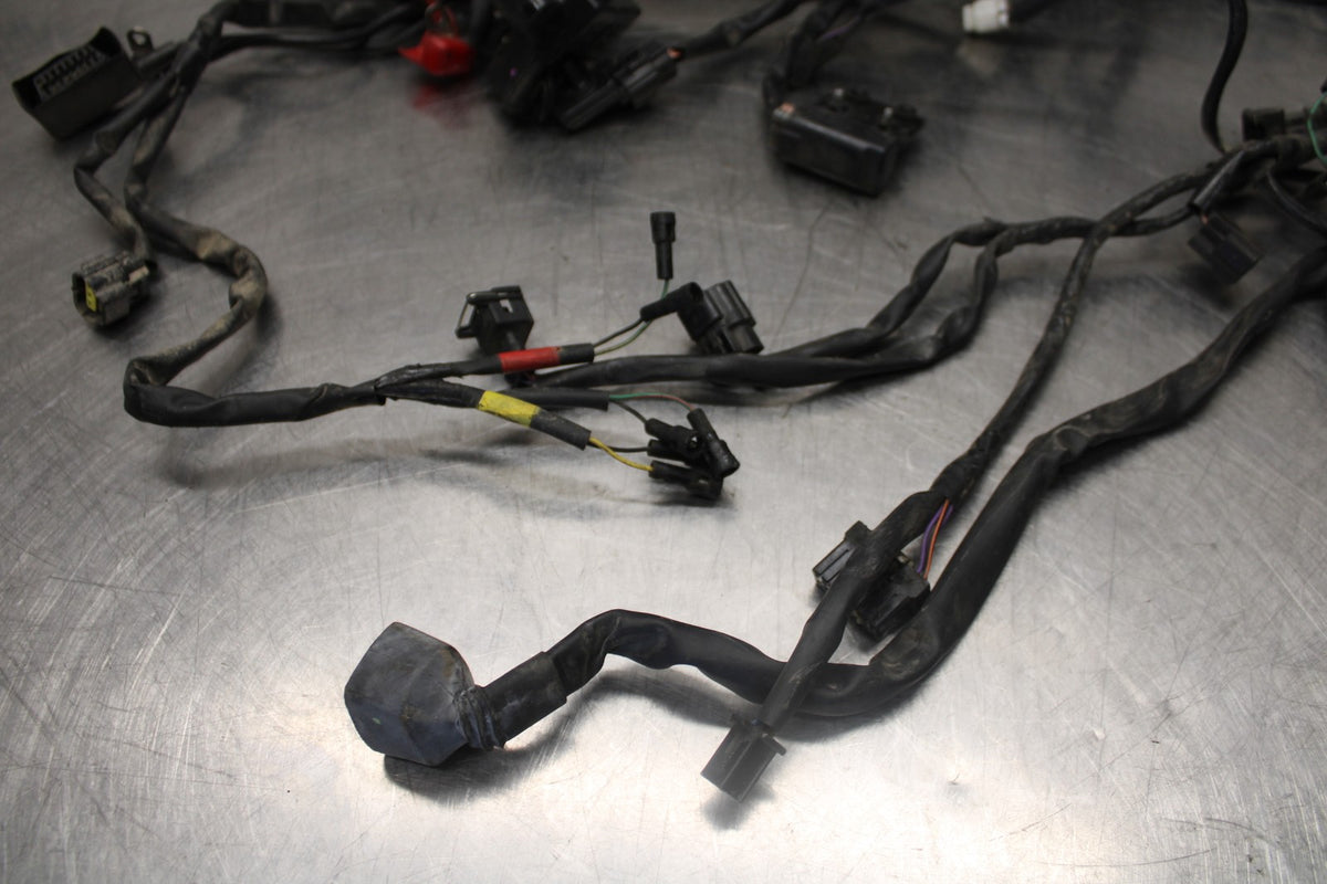 05-08 TRIUMPH SPEED TRIPLE 1050 MAIN ENGINE WIRING HARNESS MOTOR WIRE LOOM BB933