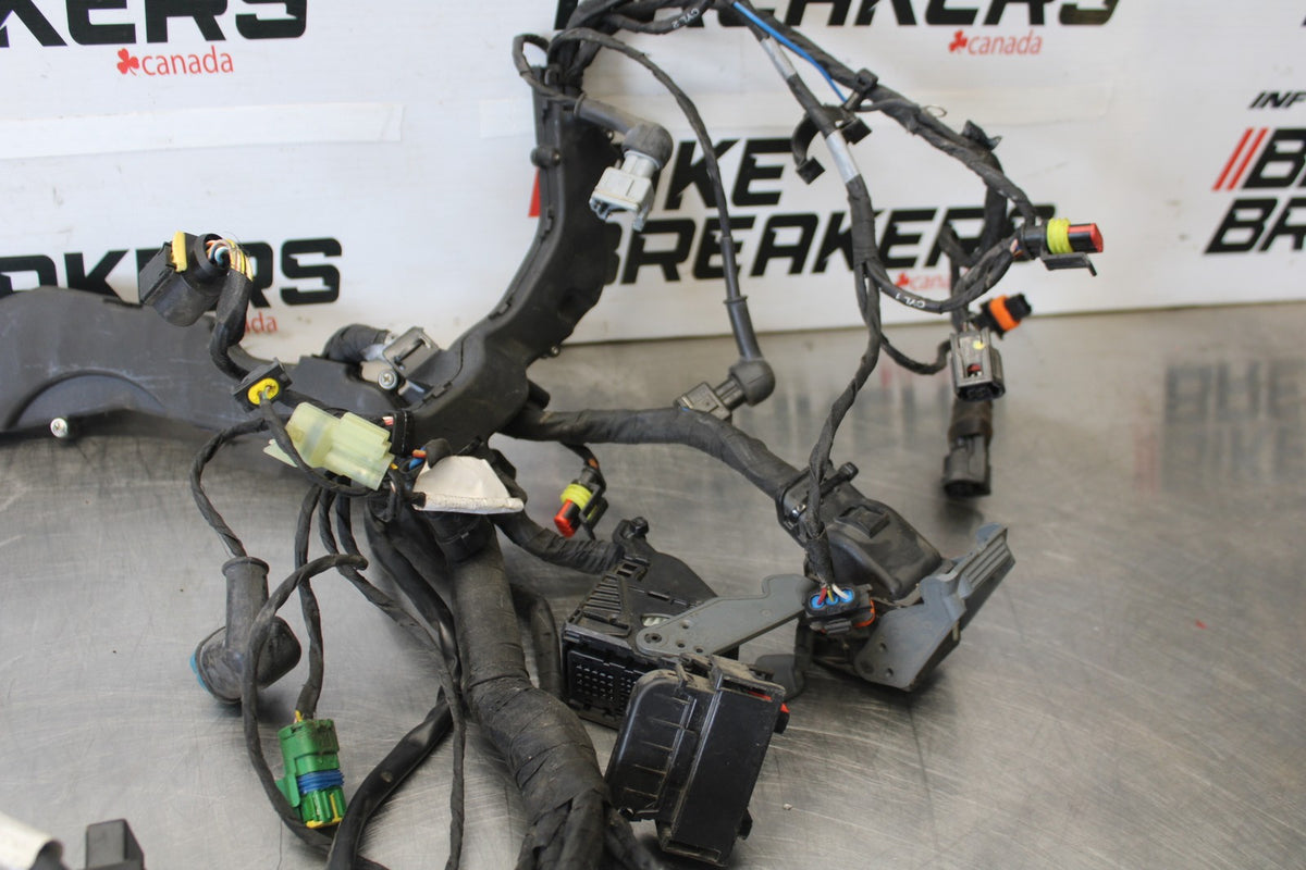 20-23 APRILIA RS660 MAIN ENGINE WIRING HARNESS MOTOR WIRE LOOM BB889