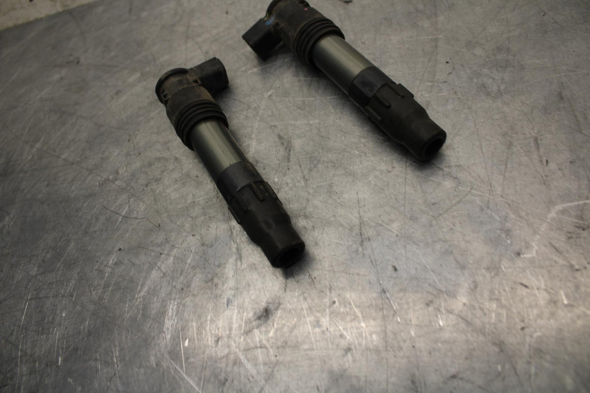 17 KAWASAKI VERSYS_X 300 IGNITION COILS COIL SPARK PLUG CAPS BB504