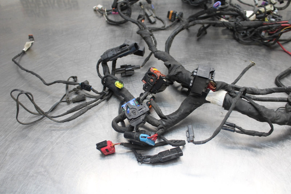 22 HARLEY-DAVIDSON PAN AMERICA 1250 MAIN WIRING HARNESS & MOTOR WIRE LOOM BB910