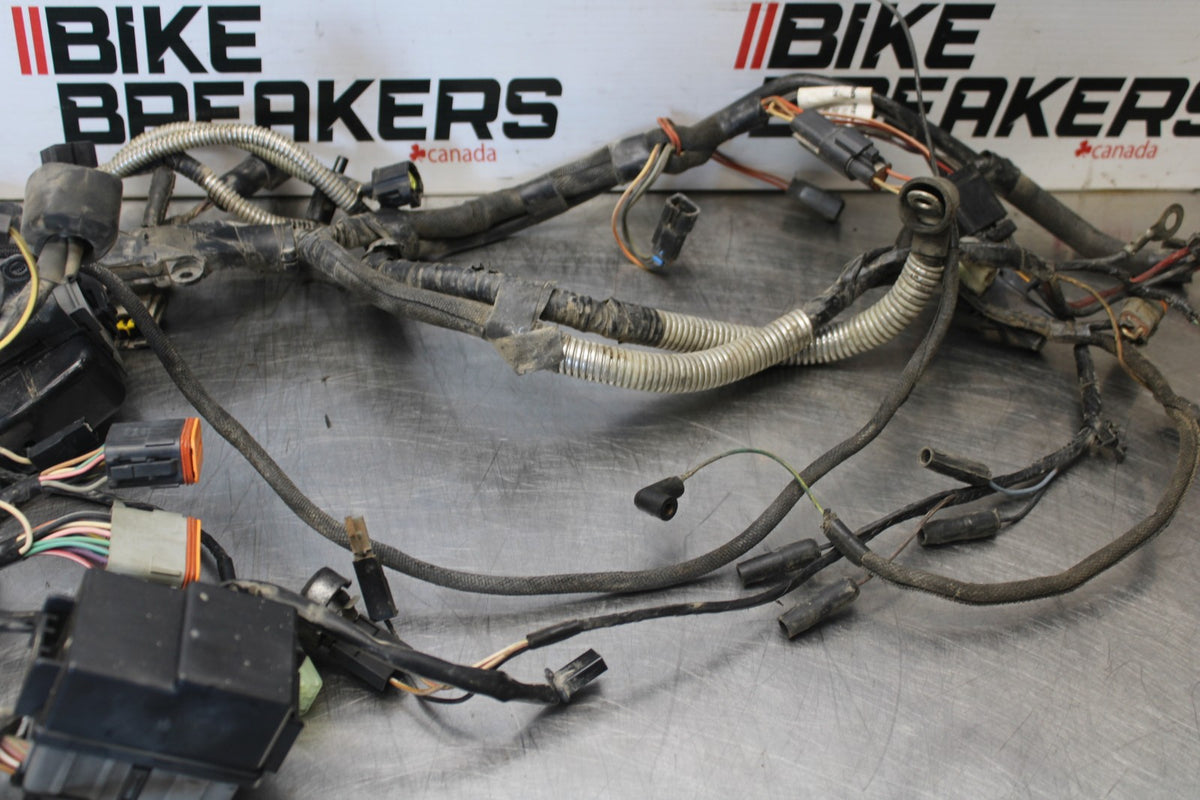 04 BUELL FIREBOLT XB12R ENGINE WIRING HARNESS MOTOR WIRE LOOM BB903