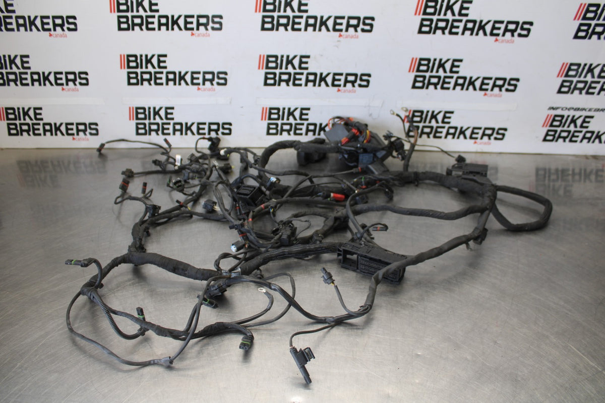 17-20 BMW S1000R FULL ENGINE WIRING HARNESS MOTOR WIRE LOOM BB909