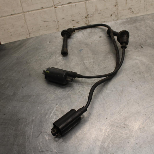1998 Suzuki TL1000S IGNITION COILS COIL SPARK PLUG CAPS BB508