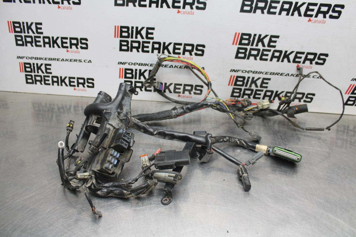 08 HARLEY-DAVIDSON SPORTSTER 1200 MAIN ENGINE WIRING HARNESS WIRE LOOM BB794