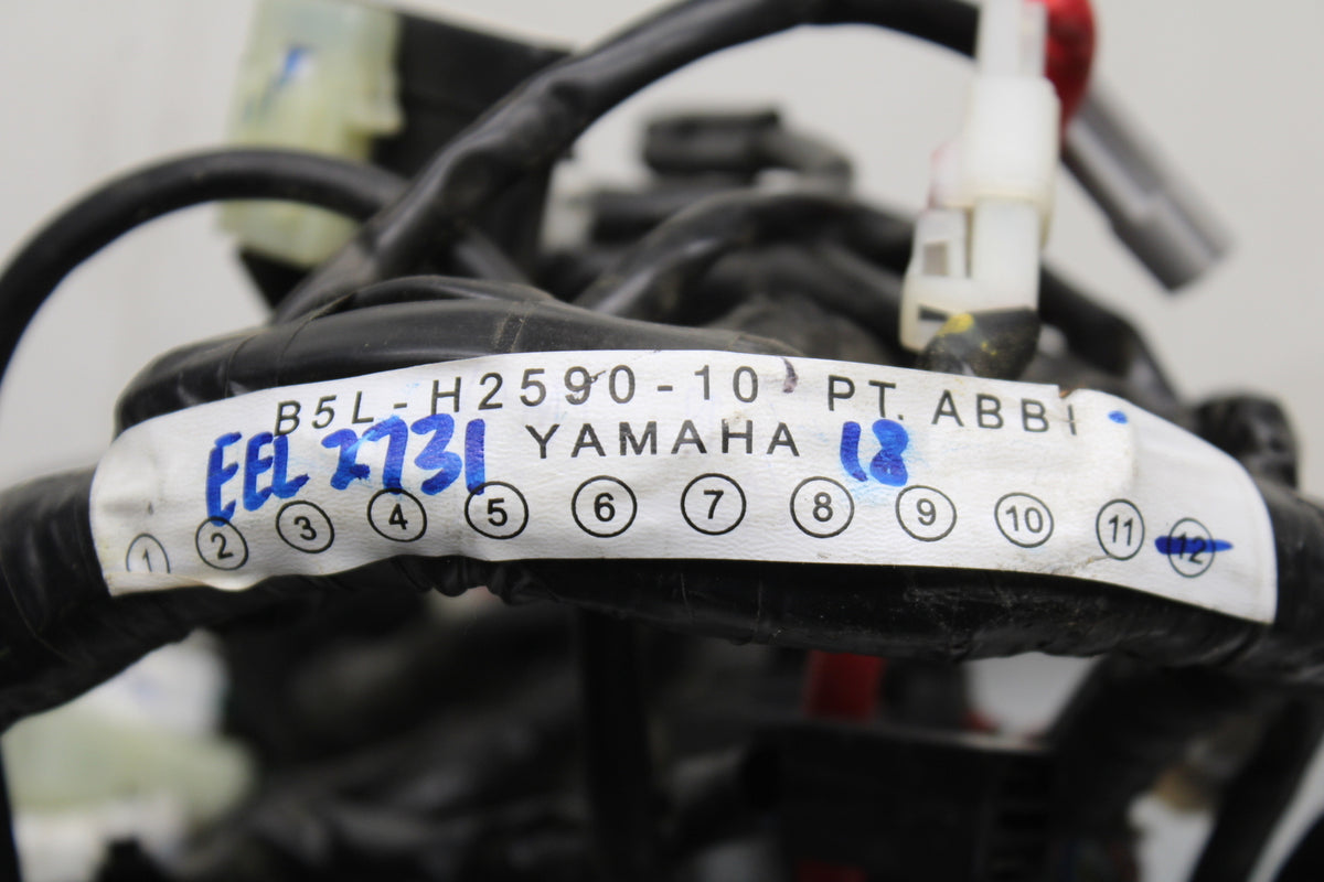 19-21 YAMAHA YZF R3 MAIN ENGINE WIRING HARNESS MOTOR WIRE LOOM BB121