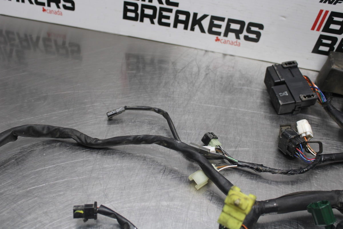 03 SUZUKI SV650 MAIN ENGINE WIRING HARNESS MOTOR WIRE LOOM BB846