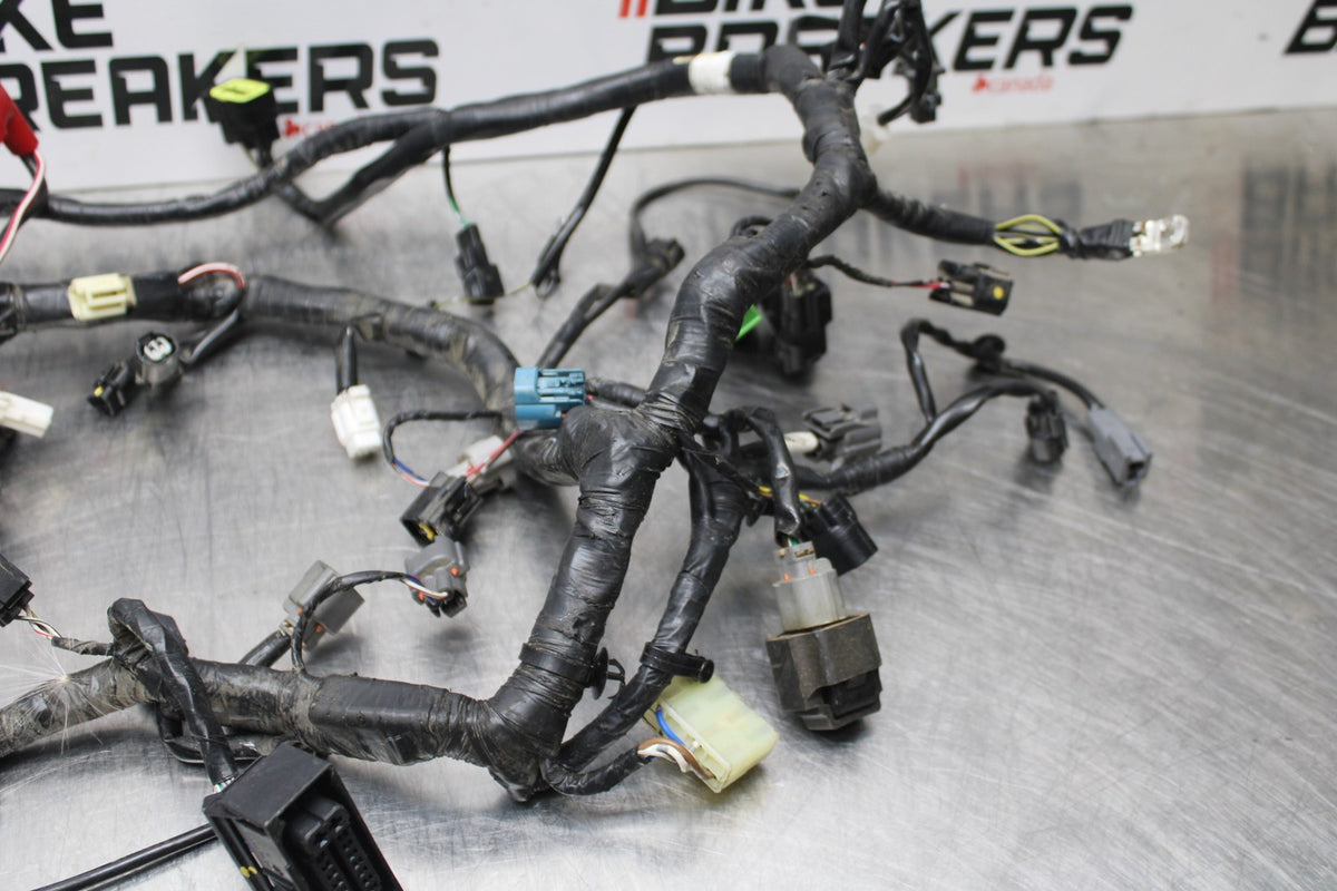 13-17 KAWASAKI NINJA 300 EX300 ABS MAIN ENGINE WIRING HARNESS BB187