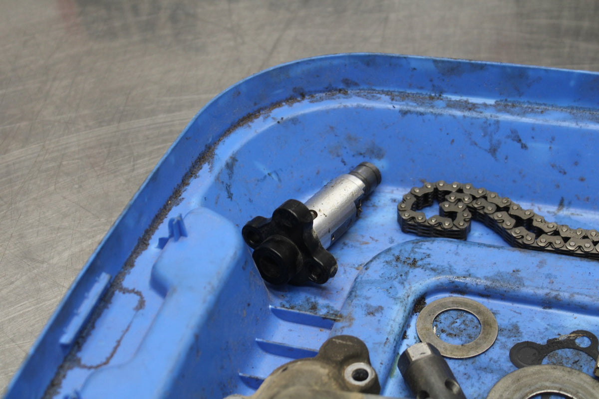15 TRIUMPH TIGER 800 ENGINE BOLTS HARDWARE MOTOR SCREWS BB873