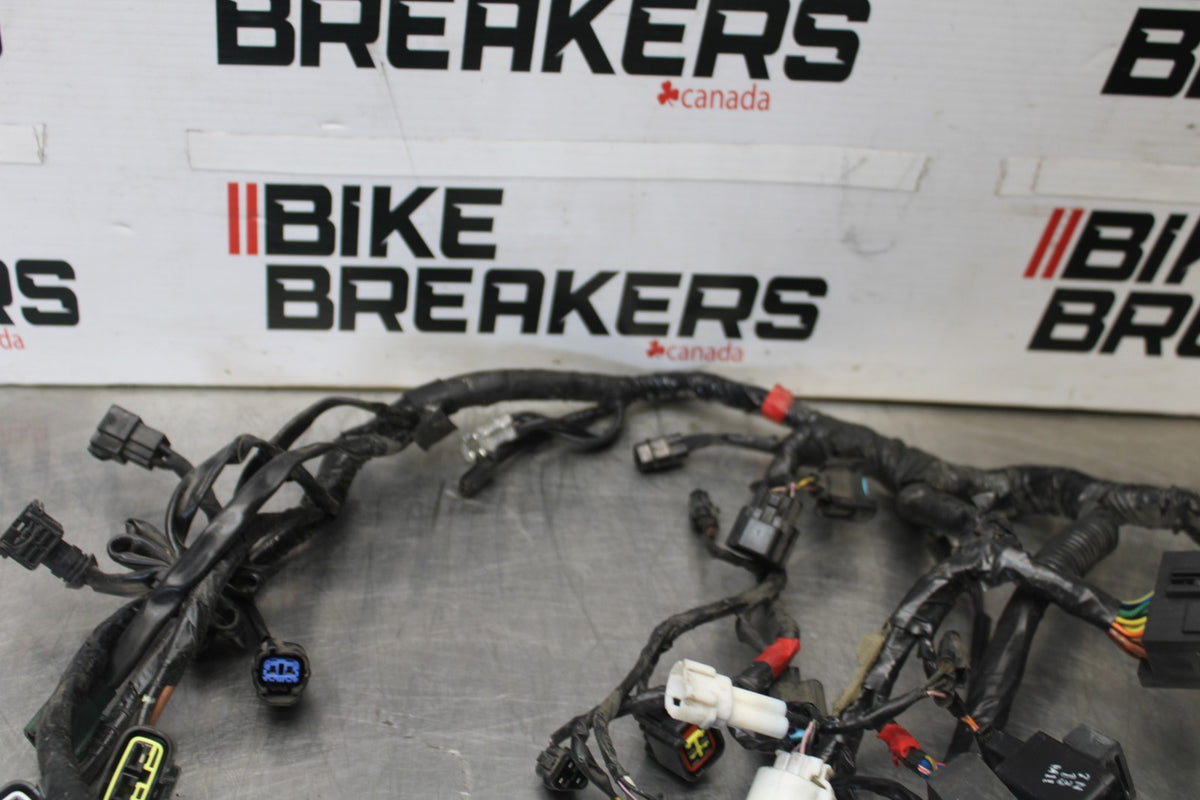 12 TRIUMPH STREET TRIPLE R MAIN ENGINE WIRING HARNESS MOTOR WIRE LOOM BB914