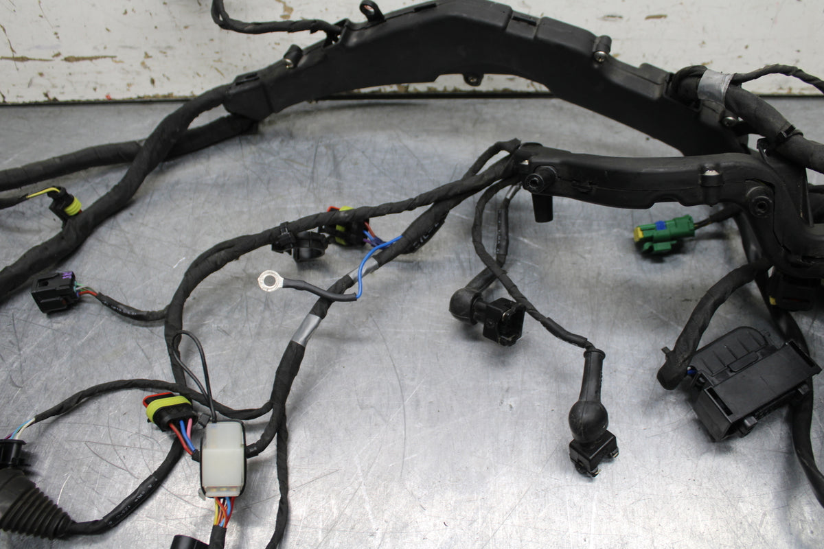 21-24 APRILIA TUONO 660 FACTORY MAIN ENGINE WIRING HARNESS MOTOR WIRE LOOM BB733