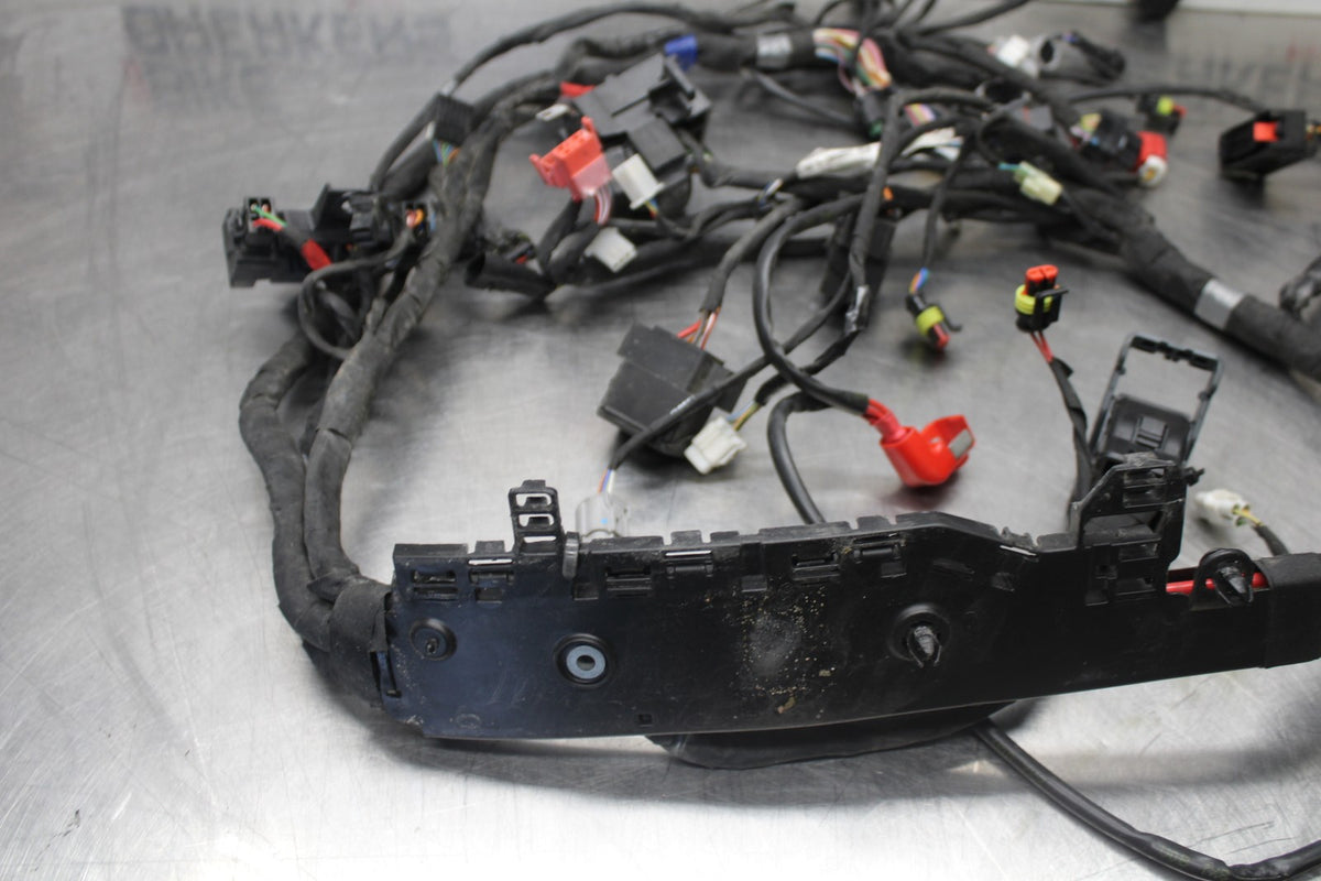 24 APRILIA TUONO V4 1100 FACTORY ABS MAIN ENGINE WIRING HARNESS WIRE LOOM BB887