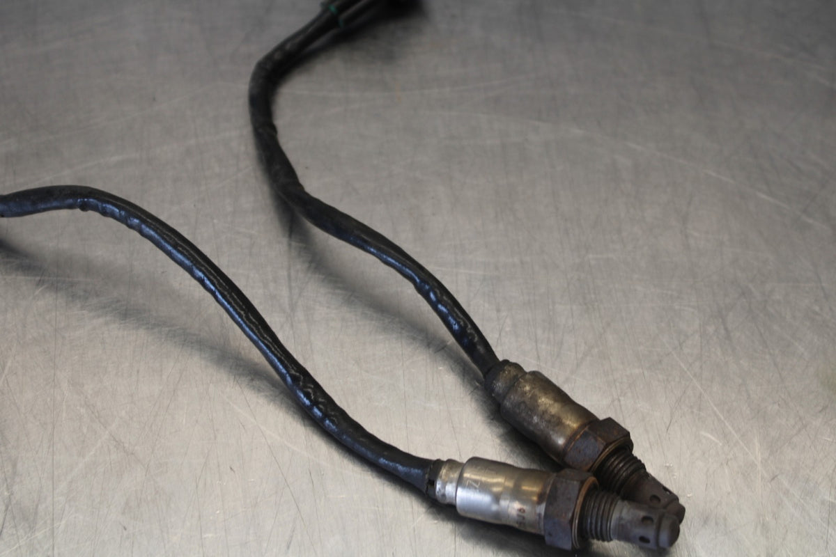 24 APRILIA TUONO V4 1100 FACTORY ABS OXYGEN O2 EXHAUST GAS LAMBDA SENSOR BB887