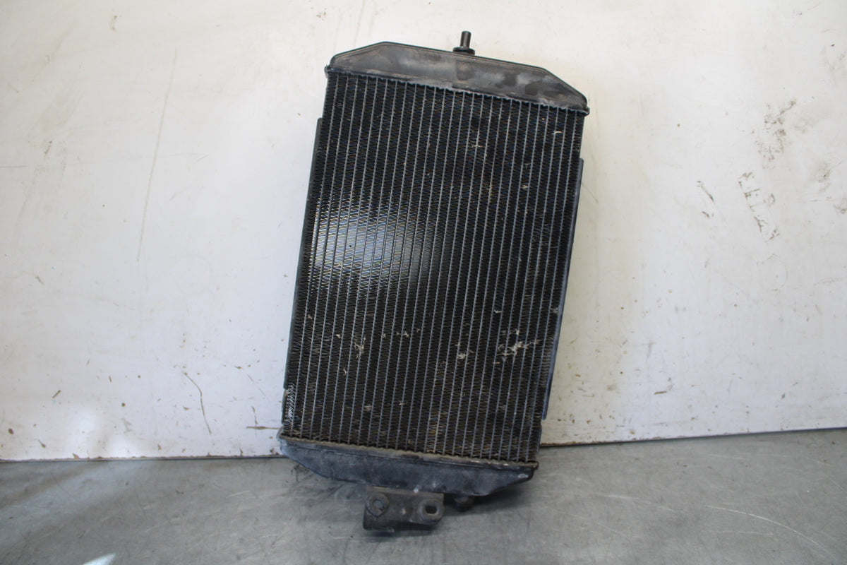 05-06 YAMAHA ROYAL STAR ENGINE COOLER COOLING RADIATOR RADIATER BB697
