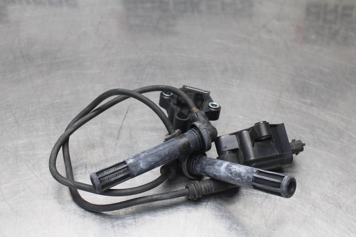 16 DUCATI 959 PANIGALE IGNITION COILS COIL SPARK PLUG CAPS BB912