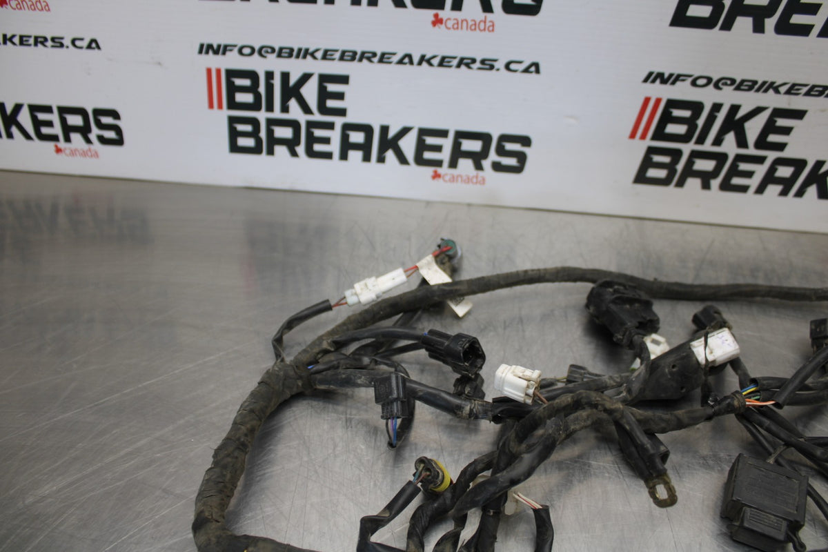 18-22 HUSQVARNA VITPILEN 701 MAIN ENGINE WIRING HARNESS MOTOR WIRE LOOM BB198