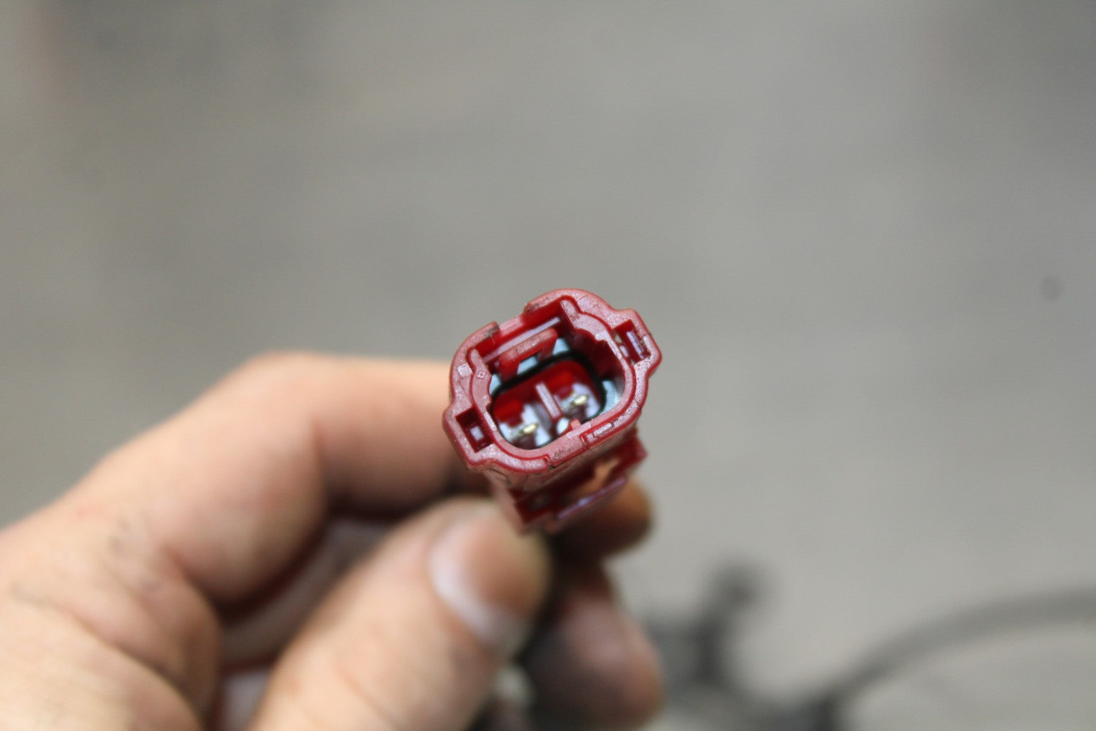 13-24 HONDA CBR600RR FRONT ABS BRAKE SENSOR  & RING BB772