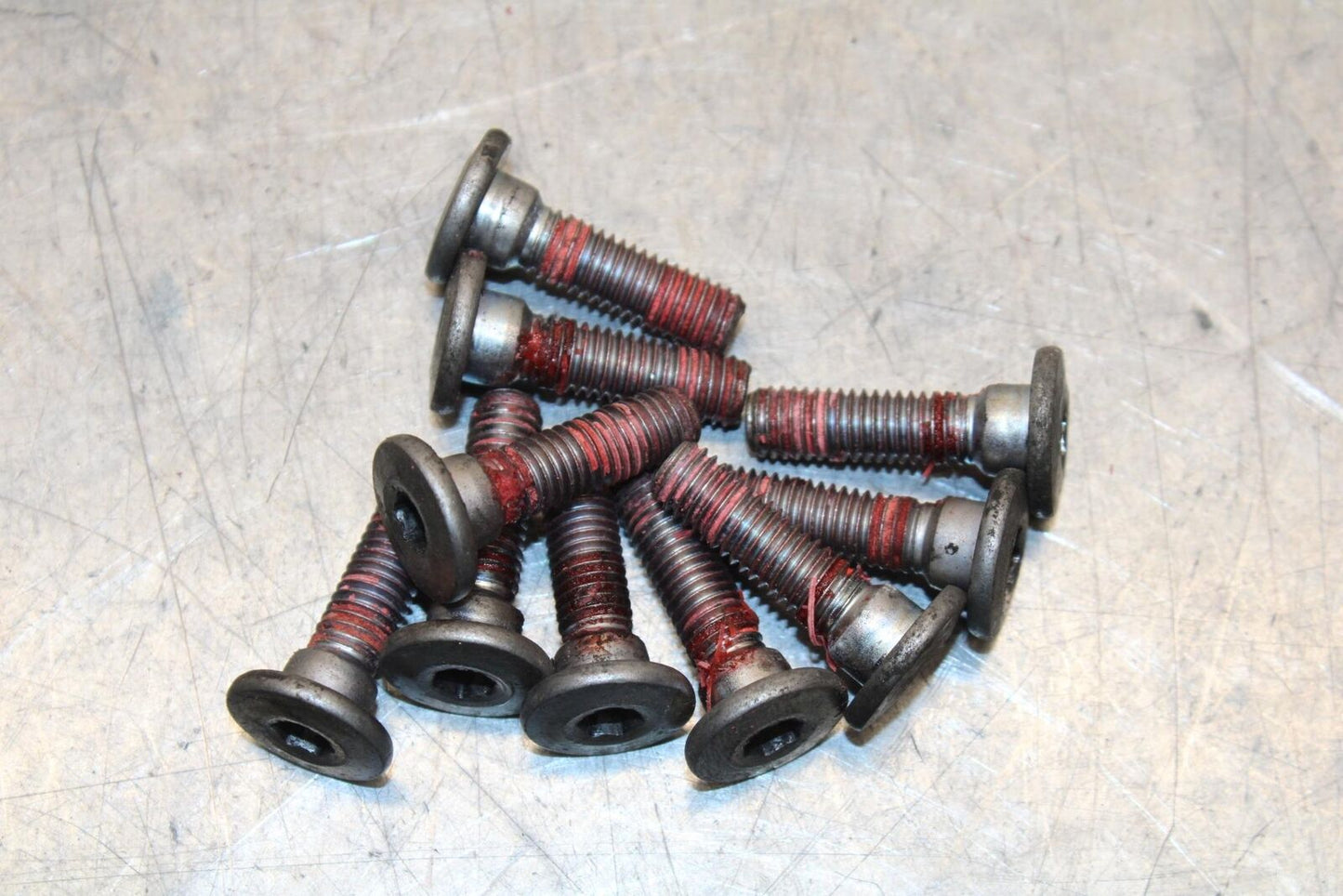 2003 Kawasaki Ninja ZX6RR ZX600K FRONT BRAKE ROTOR BOLTS DISC BB66 