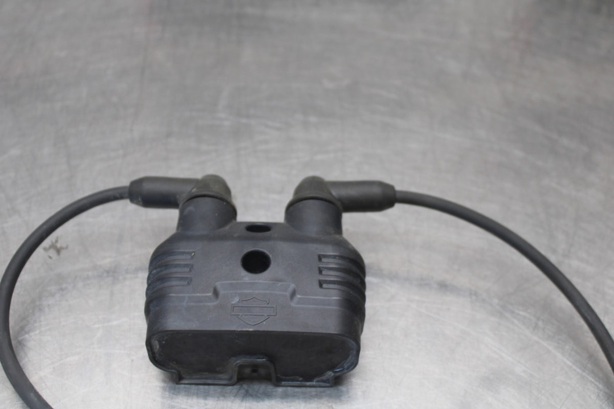 22 HARLEY-DAVIDSON PAN AMERICA 1250 IGNITION COIL SPARK PLUG CAP  BB910