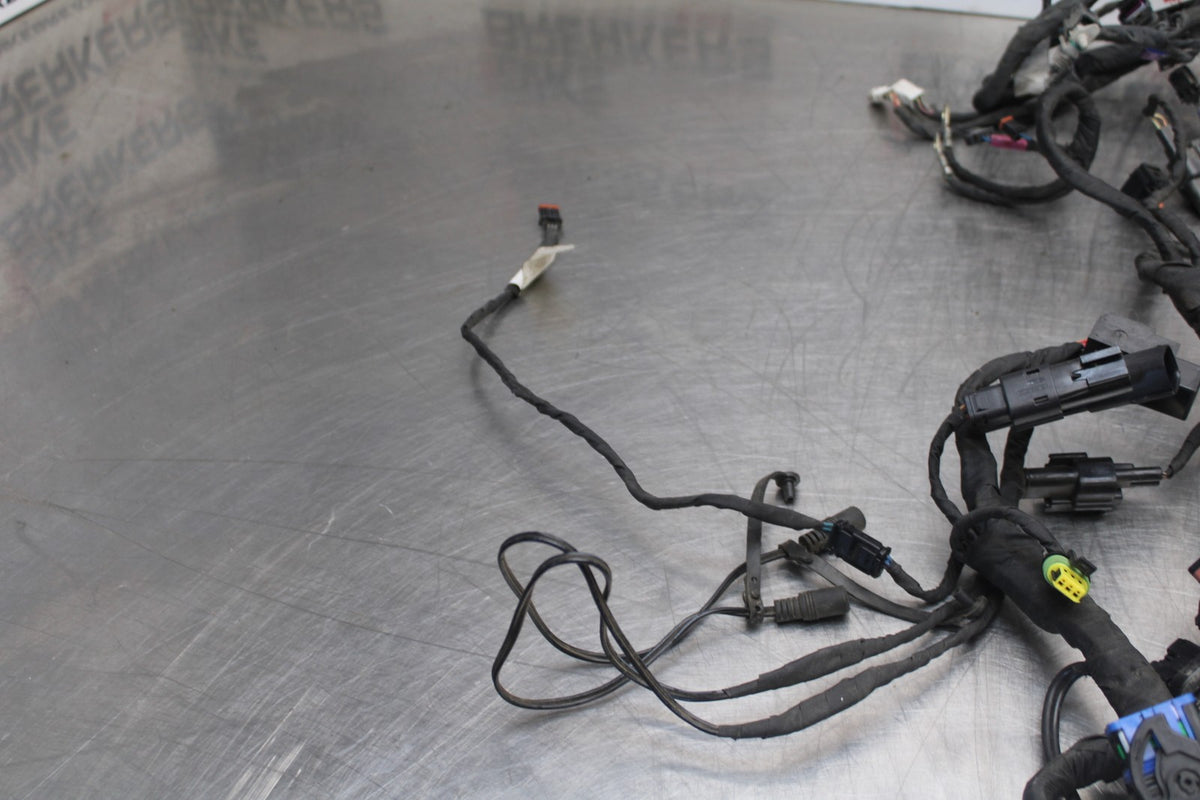 22 HARLEY-DAVIDSON PAN AMERICA 1250 MAIN WIRING HARNESS & MOTOR WIRE LOOM BB910