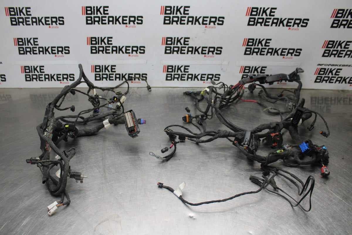 22 HARLEY-DAVIDSON PAN AMERICA 1250 MAIN WIRING HARNESS & MOTOR WIRE LOOM BB910