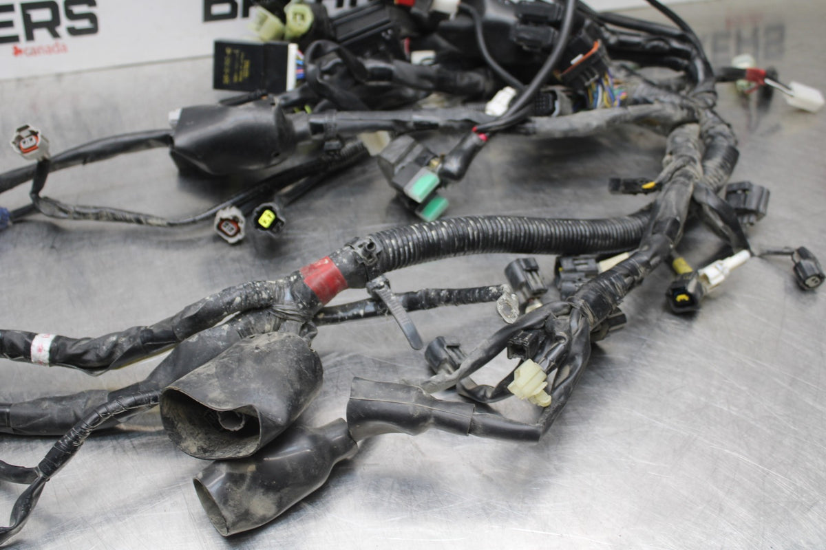 18 YAMAHA SUPER TENERE MAIN ENGINE WIRING HARNESS MOTOR WIRE LOOM BB832