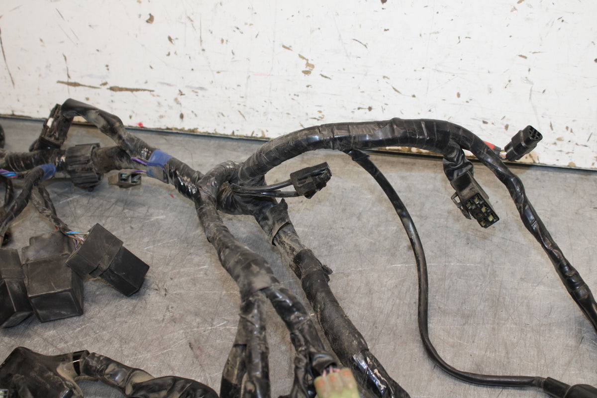 14-16 TRIUMPH AMERICA LT MAIN ENGINE WIRING HARNESS MOTOR WIRE LOOM BB720