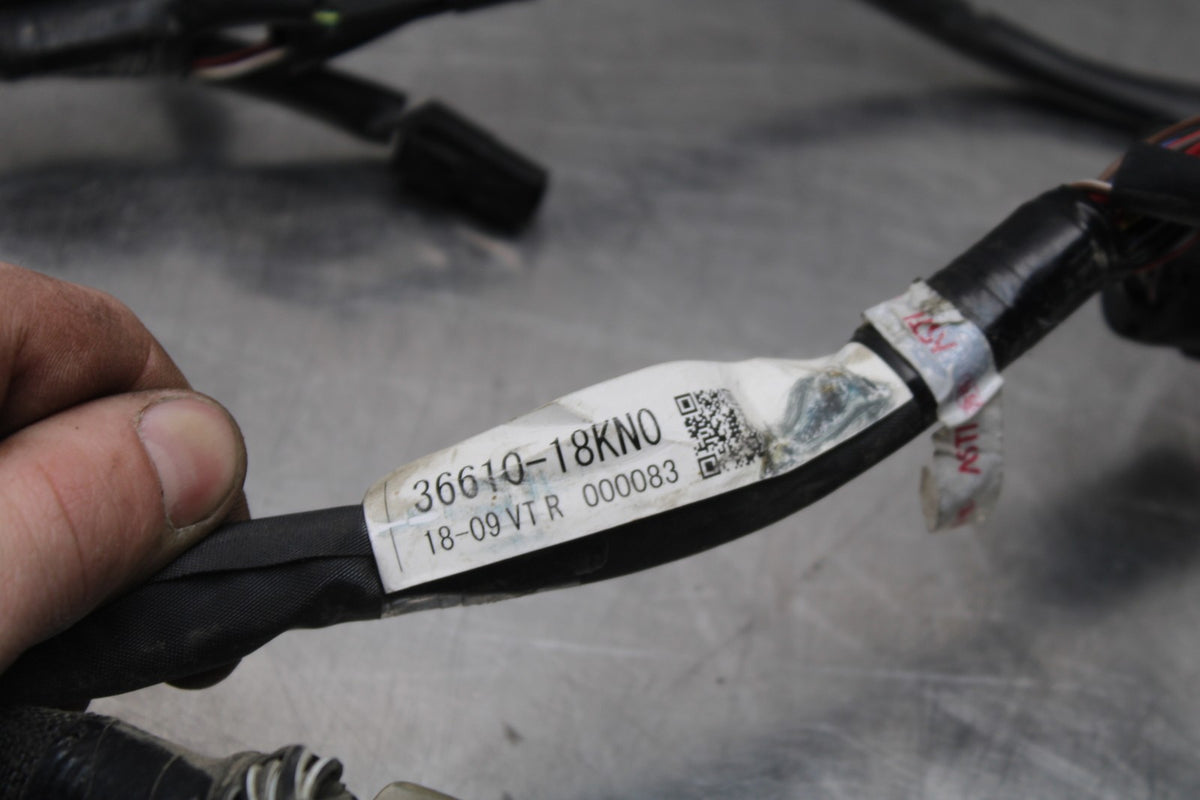 17-24 SUZUKI SV650 MAIN ENGINE WIRING HARNESS MOTOR WIRE LOOM BB829