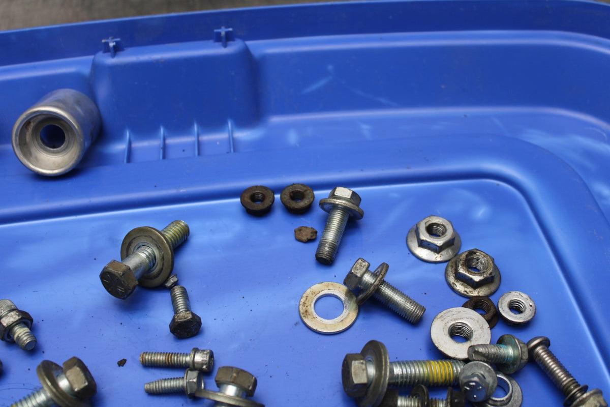 95-03 HARLEY-DAVIDSON SPORTSTER 1200 CUSTOM XL1200C BOLTS SCREWS BB817