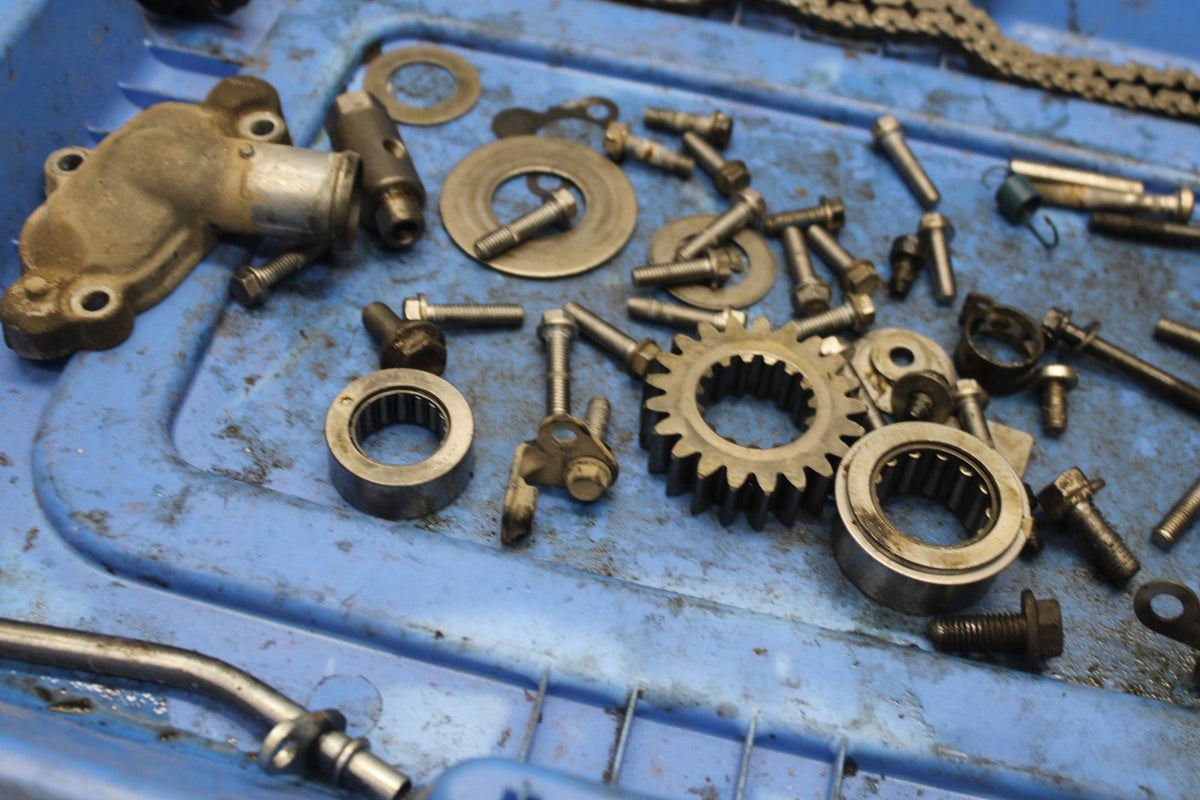 15 TRIUMPH TIGER 800 ENGINE BOLTS HARDWARE MOTOR SCREWS BB873