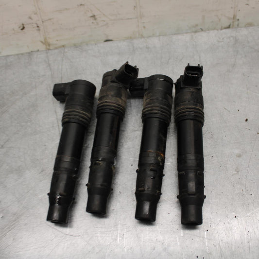 06-07 KAWASAKI NINJA ZX14R IGNITION COILS COIL SPARK PLUG CAPS BB466