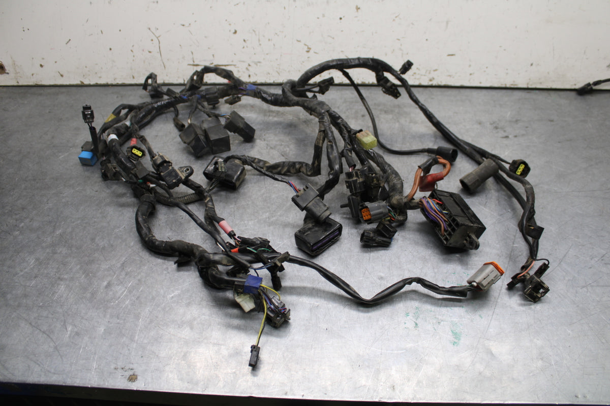 14-16 TRIUMPH AMERICA LT MAIN ENGINE WIRING HARNESS MOTOR WIRE LOOM BB720