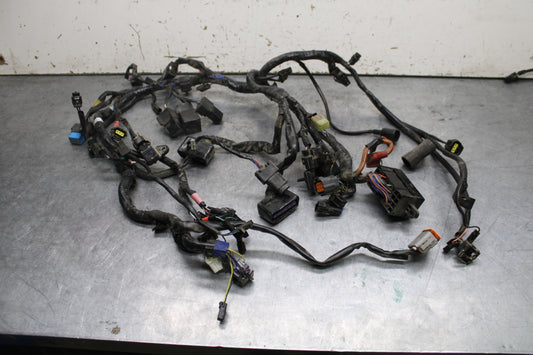 14-16 TRIUMPH AMERICA LT MAIN ENGINE WIRING HARNESS MOTOR WIRE LOOM BB720