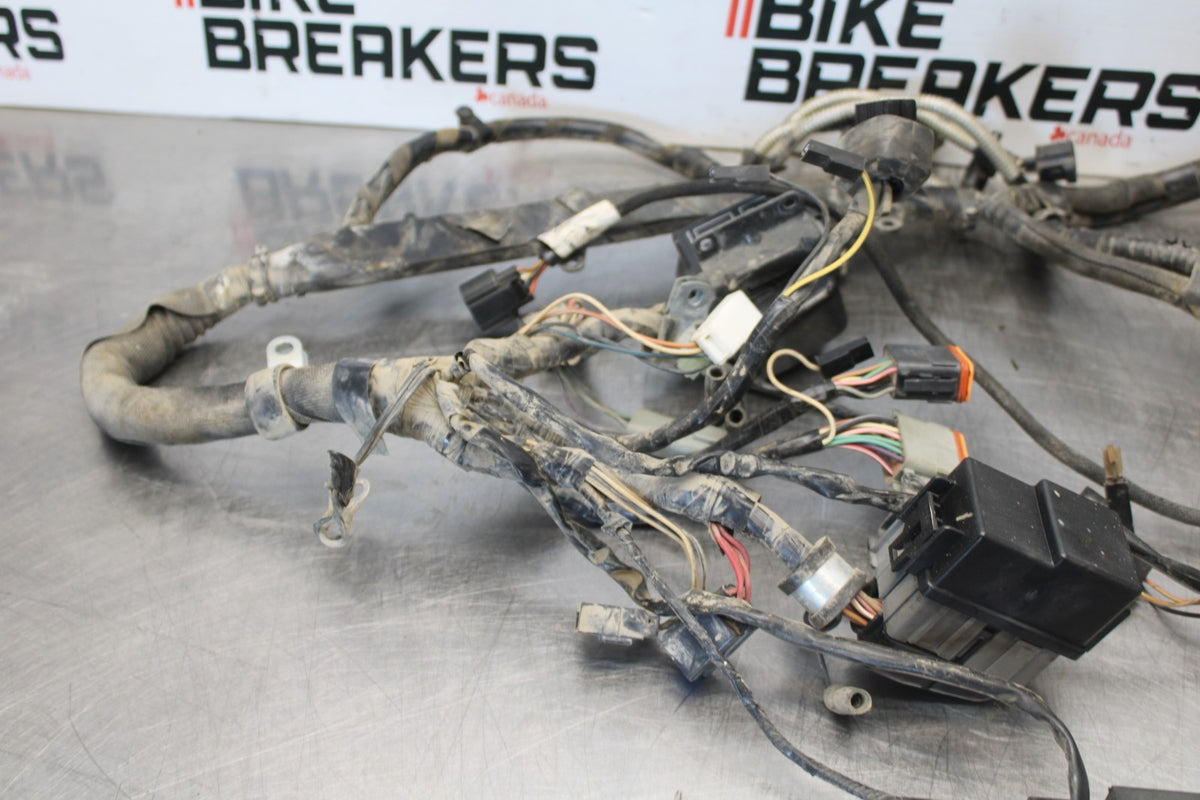 04 BUELL FIREBOLT XB12R ENGINE WIRING HARNESS MOTOR WIRE LOOM BB903