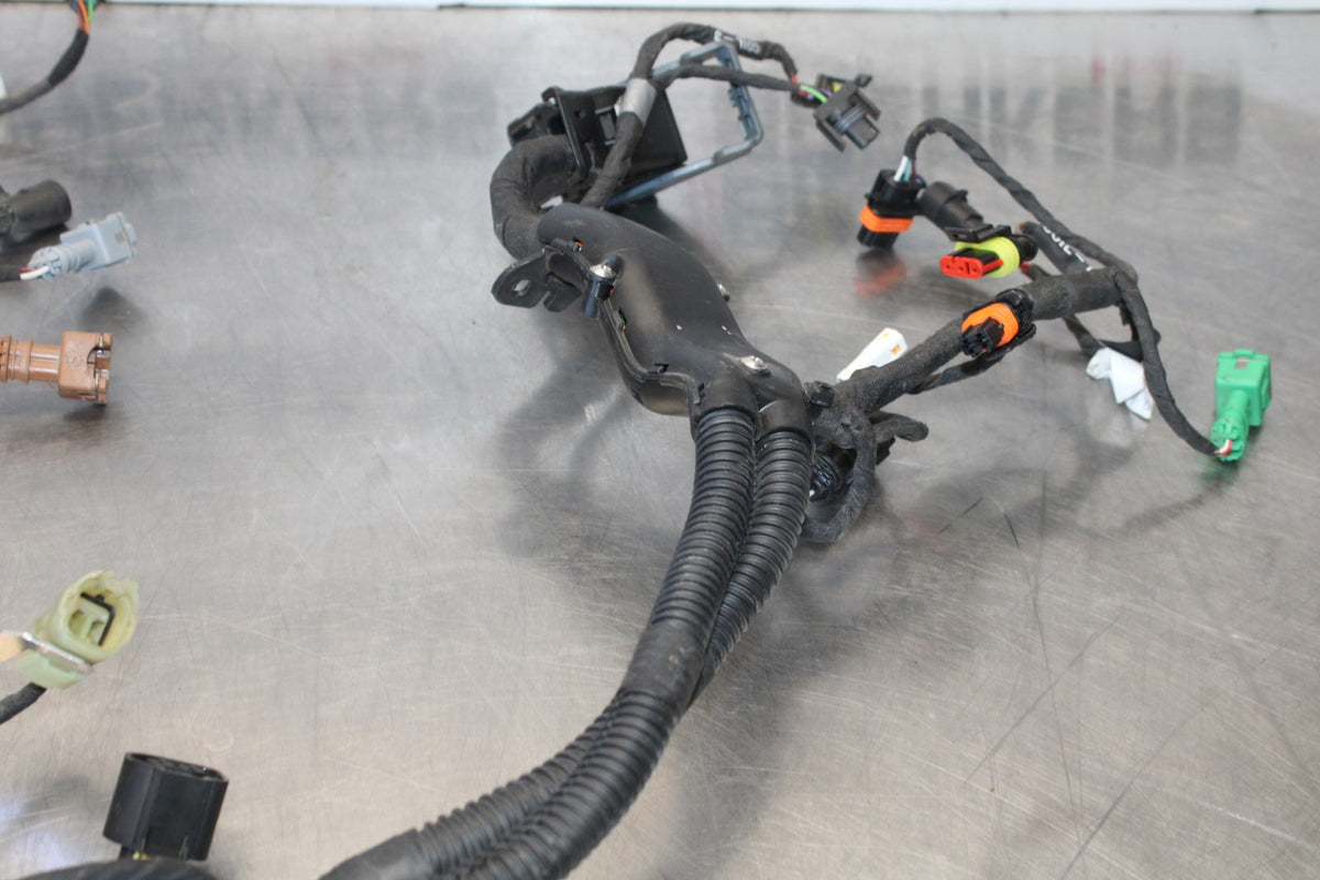24 APRILIA TUONO V4 1100 FACTORY ABS SUB WIRING HARNESS SUB WIRE LOOM BB887
