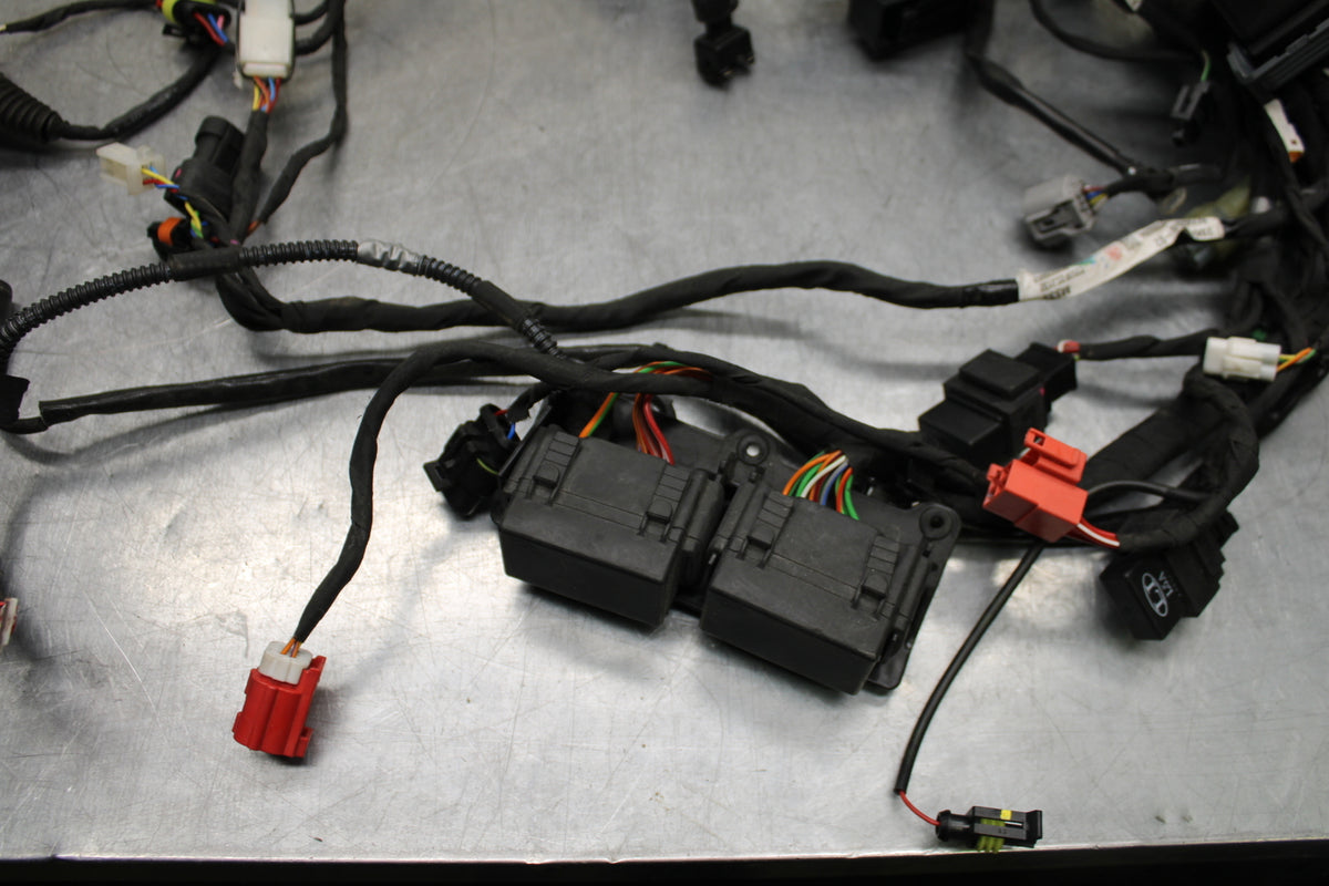 21-24 APRILIA TUONO 660 FACTORY MAIN ENGINE WIRING HARNESS MOTOR WIRE LOOM BB733