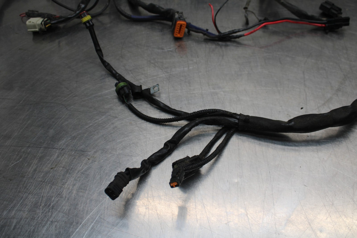 08 HARLEY-DAVIDSON ELECTRA GLIDE POLICE EFI FLHTPI MAIN WIRING HARNESS BB816
