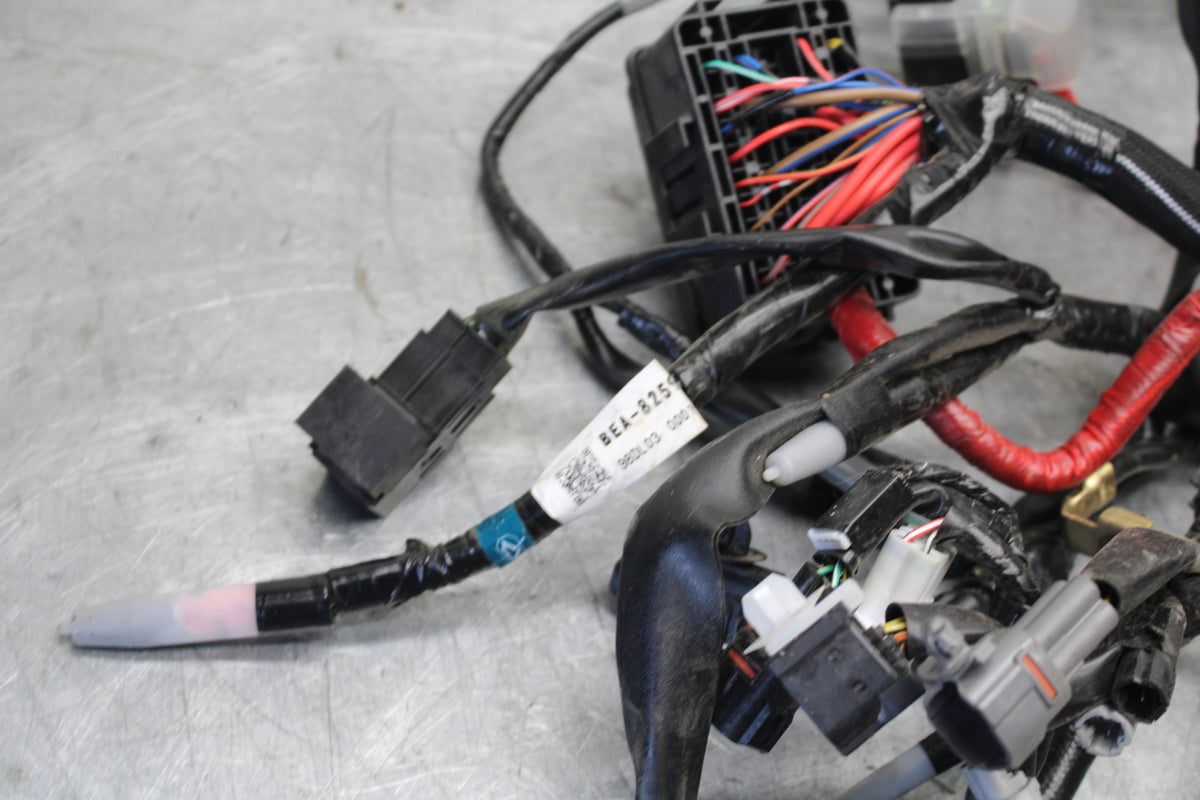 22-24 YAMAHA XSR900 MAIN ENGINE WIRING HARNESS MOTOR WIRE LOOM   BB683