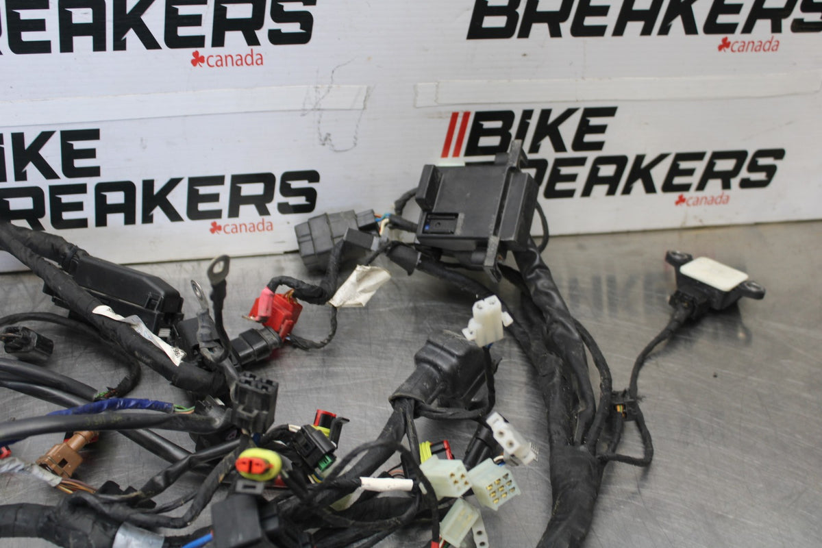 16 APRILIA TUONO V4 1100 ENGINE WIRING HARNESS MOTOR WIRE LOOM BB905