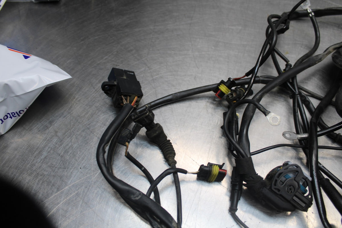02 DUCATI MONSTER 620 MAIN ENGINE WIRING HARNESS MOTOR WIRE LOOM BB851