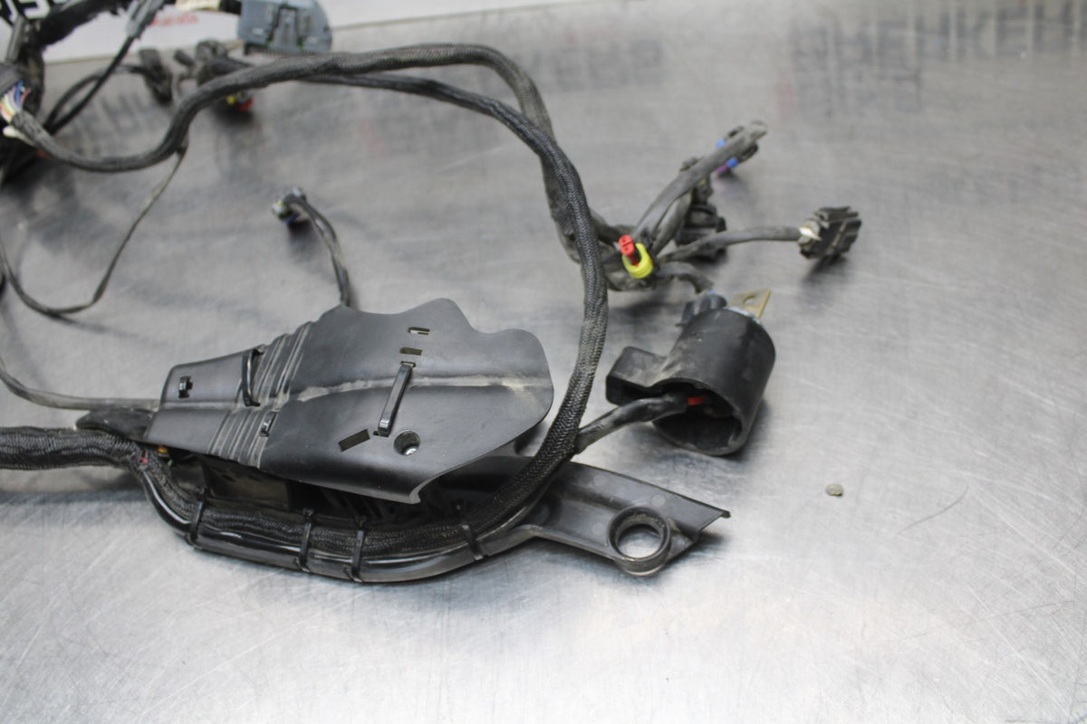 07 HARLEY-DAVIDSON SPORTSTER 1200 XL1200C MAIN ENGINE WIRING HARNESS  BB833