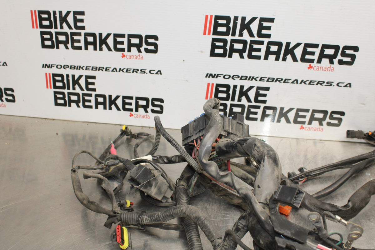 08 HARLEY-DAVIDSON ELECTRA GLIDE POLICE EFI FLHTPI MAIN WIRING HARNESS BB816