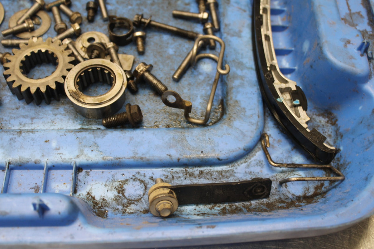 15 TRIUMPH TIGER 800 ENGINE BOLTS HARDWARE MOTOR SCREWS BB873