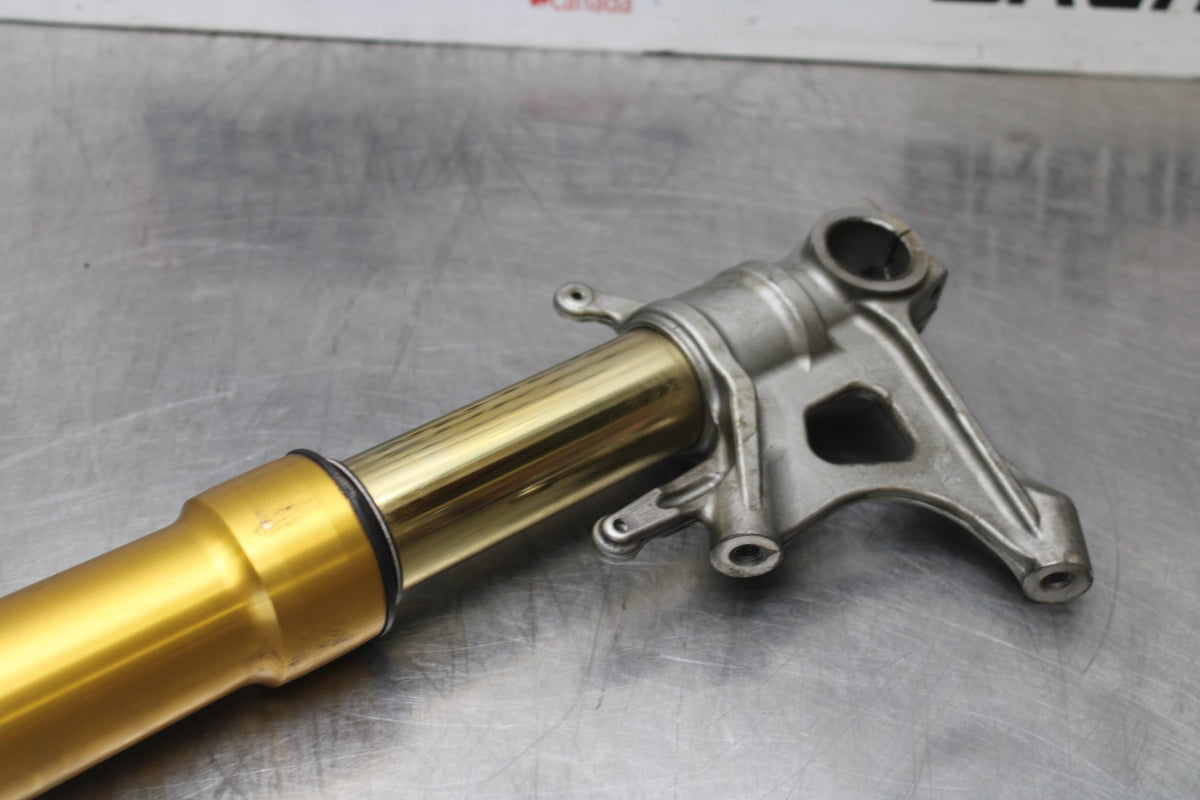 24 APRILIA TUONO V4 1100 FACTORY ABS LEFT FRONT FORK SHOCK SUSPENSION BB887