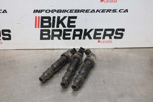 15 TRIUMPH TIGER 800 IGNITION COILS COIL SPARK PLUG CAPS BB873