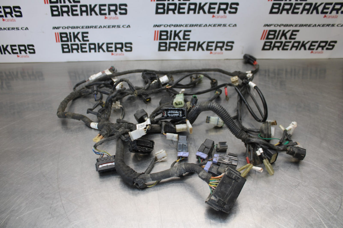 18-22 HUSQVARNA VITPILEN 701 MAIN ENGINE WIRING HARNESS MOTOR WIRE LOOM BB198