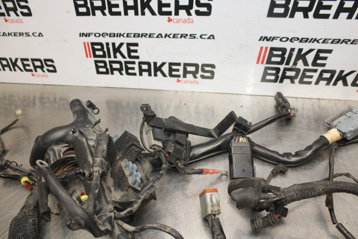 08 HARLEY-DAVIDSON SPORTSTER 1200 MAIN ENGINE WIRING HARNESS WIRE LOOM BB794