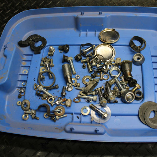 84-85 YAMAHA VIRAGO 1000 LEFTOVER CAP COWL BOLTS SCREWS BB173